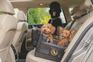 Perros en el asiento para perros Doggyfix con ISOFIX o LATCH en el coche. Doggyfix para perros grandes y pequeños. Asiento para perros Doggyfix de polipiel con cinturones ISOFIX.