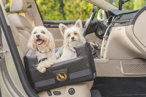 Dos perritos blancos en la lujosa silla para perros Doggyfix con ISOFIX en el coche, en el asiento del acompañante.